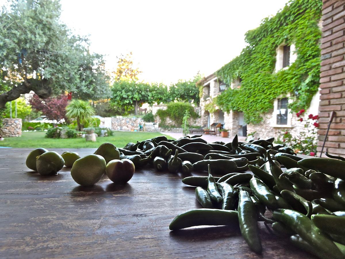 Chilliman&Mas Miró Biofarm Catllar Quarto foto